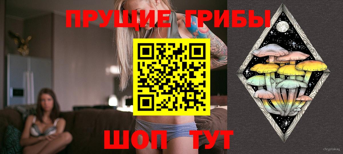 Галлюциногенные грибы мухоморы  Вход с VPN  Сухой Лог 